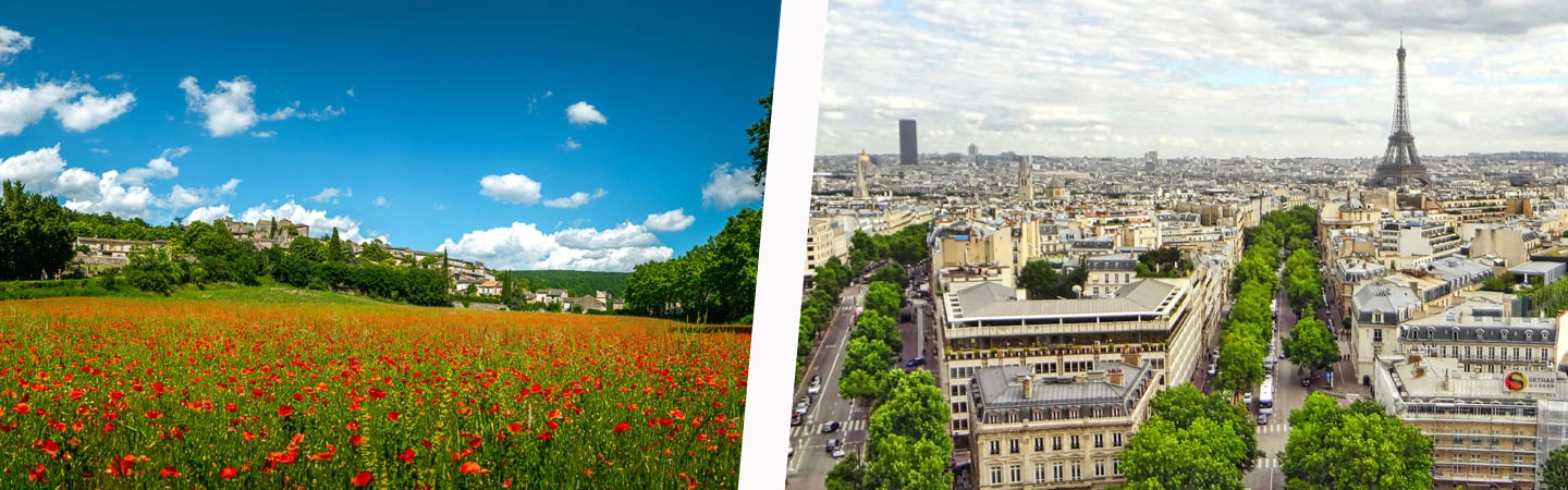 Où vaut-il mieux déménager : en ville ou à la campagne ?